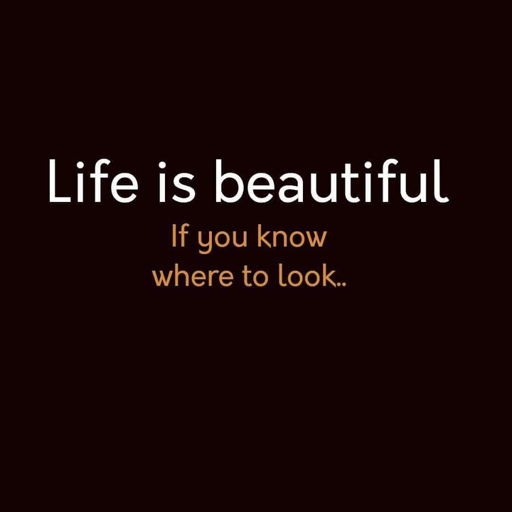 life is beautiful