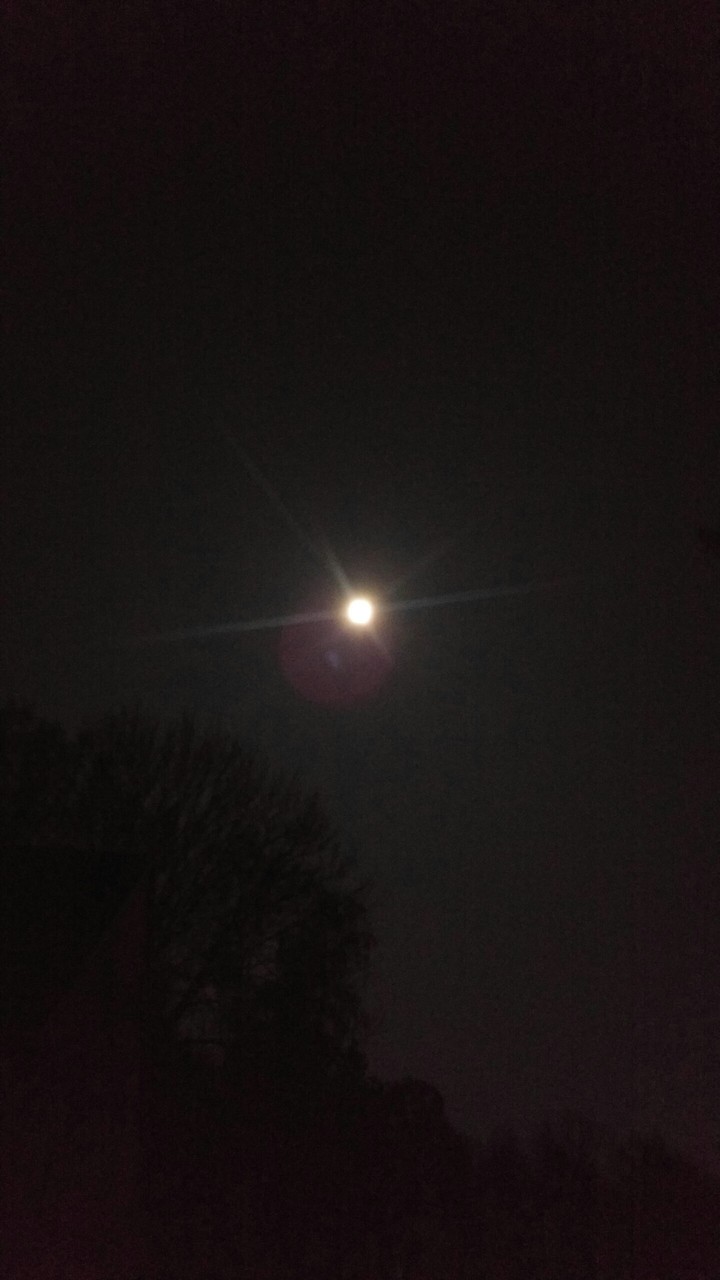 Night
