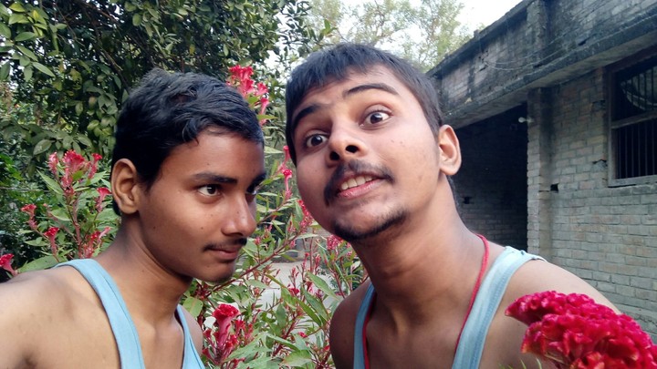 Mad Brother's