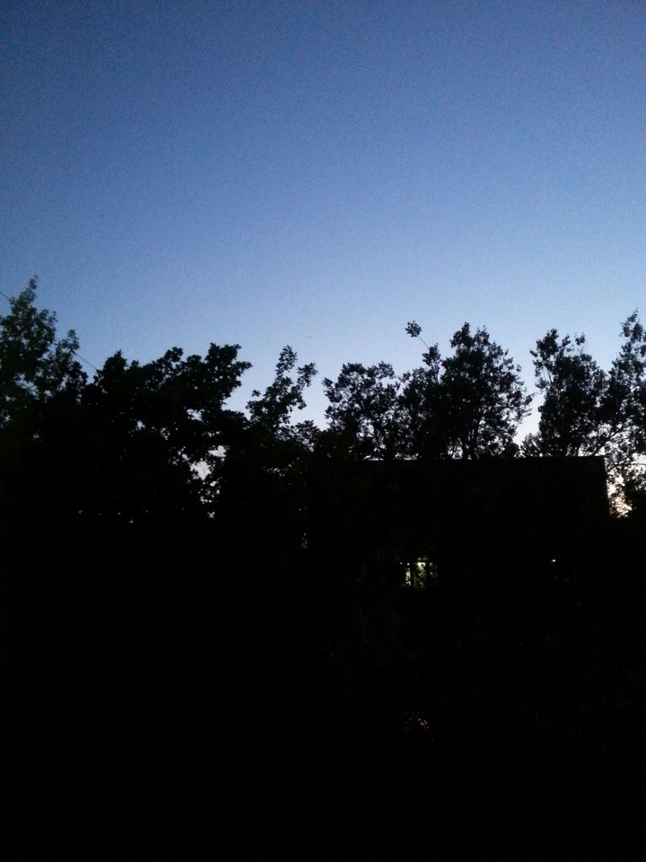 evening