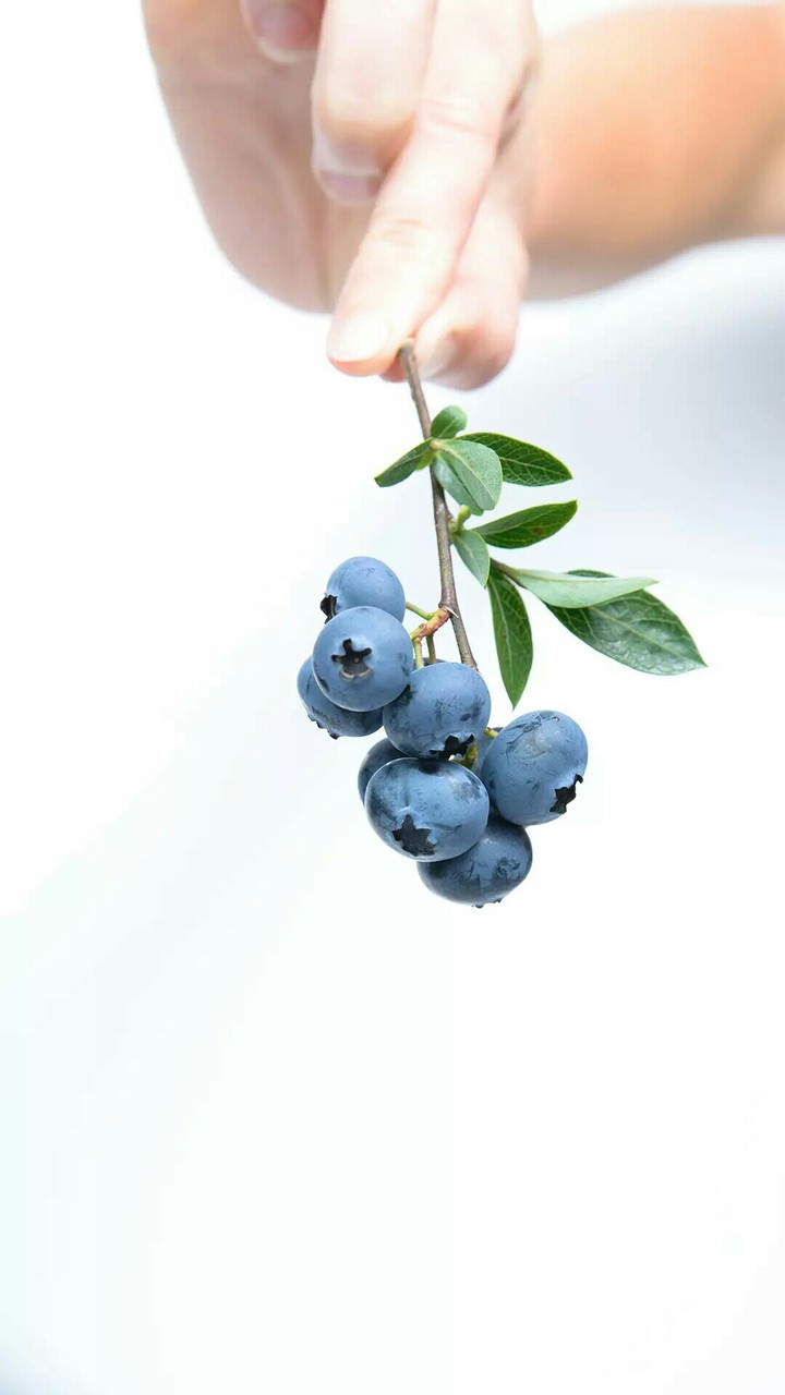 blueberry