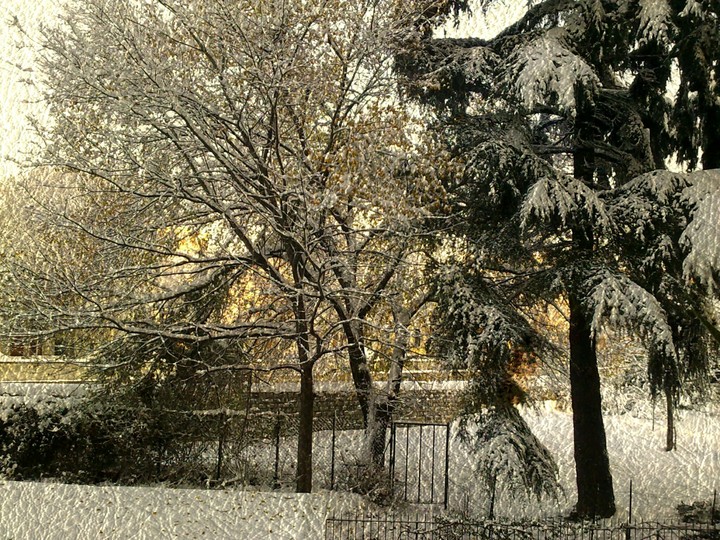 carta photo invernale