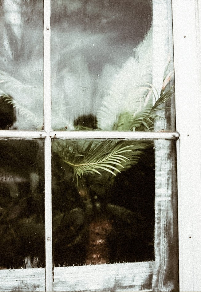 behind the window