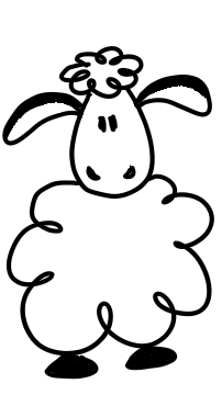 Sheep