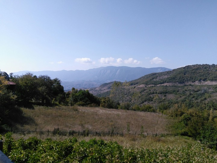 Nature