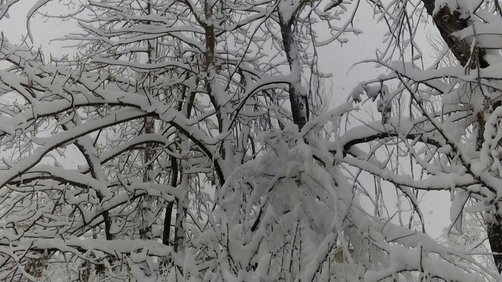 зима 