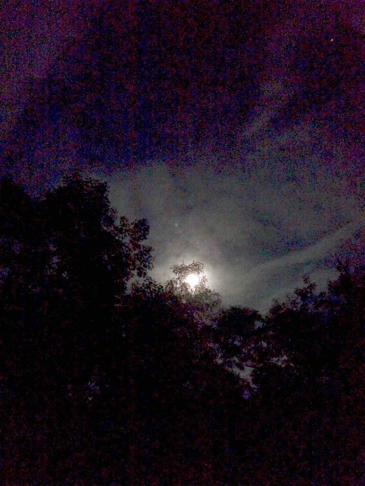 #moonshine