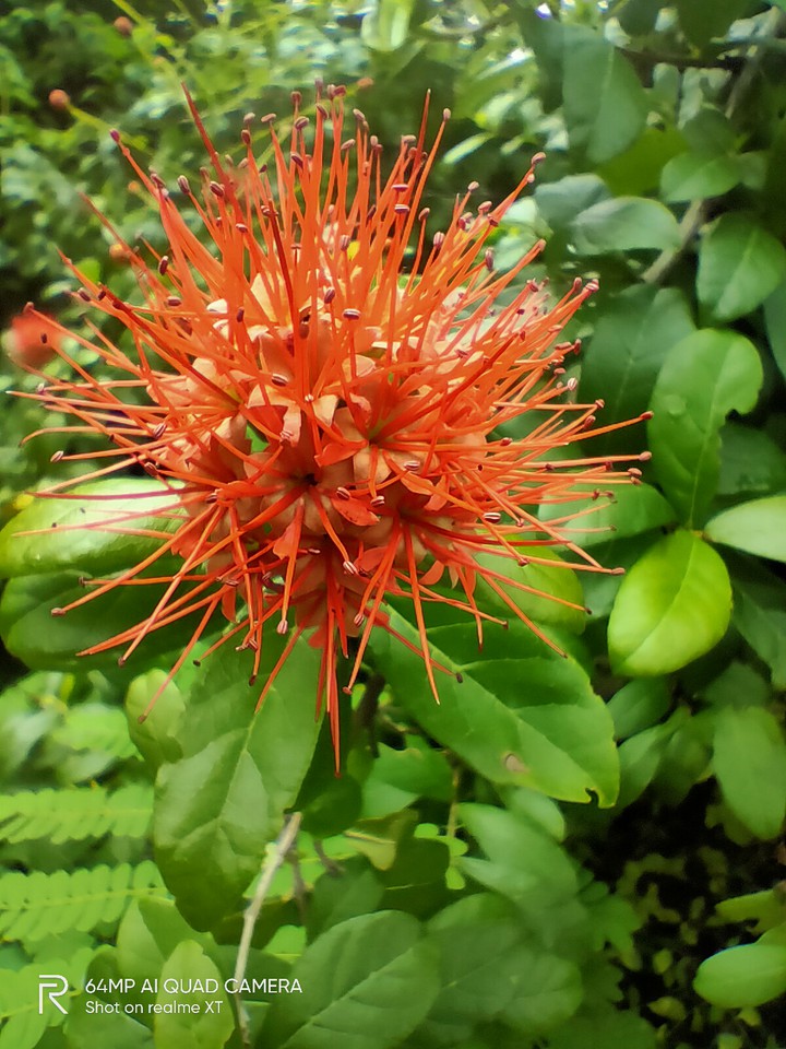 #flower #butterflypark #naturelover #heaven #garden #green