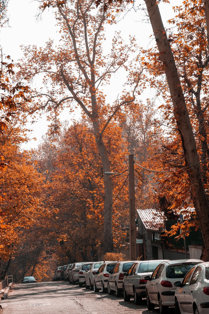Nature