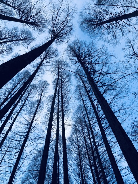 sky, symmetry Hintergrundbilder