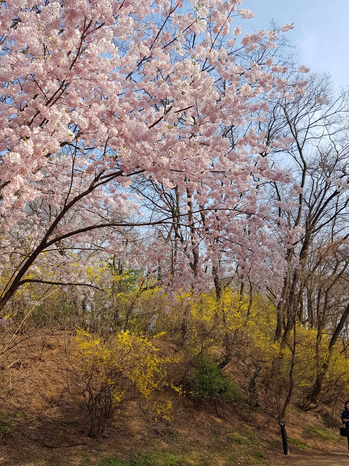 어울림