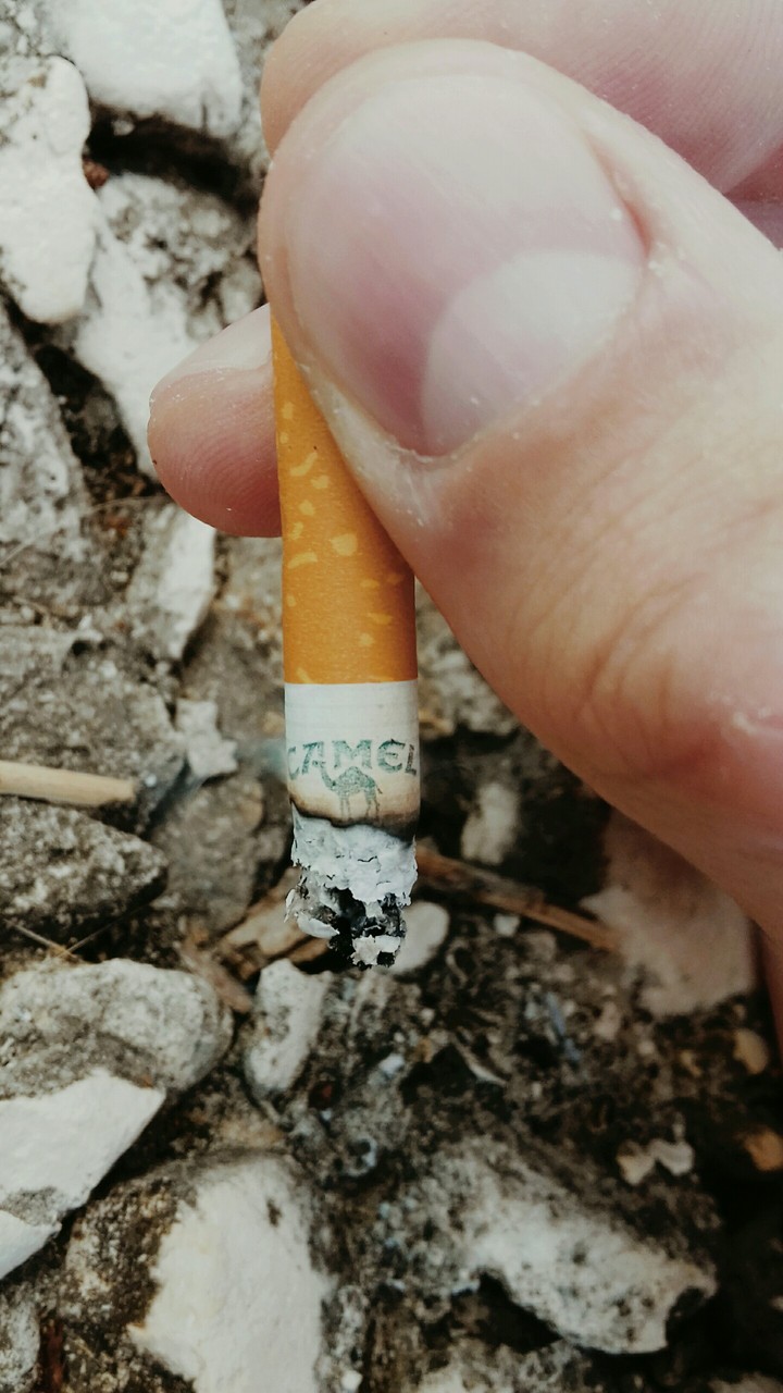 A cig