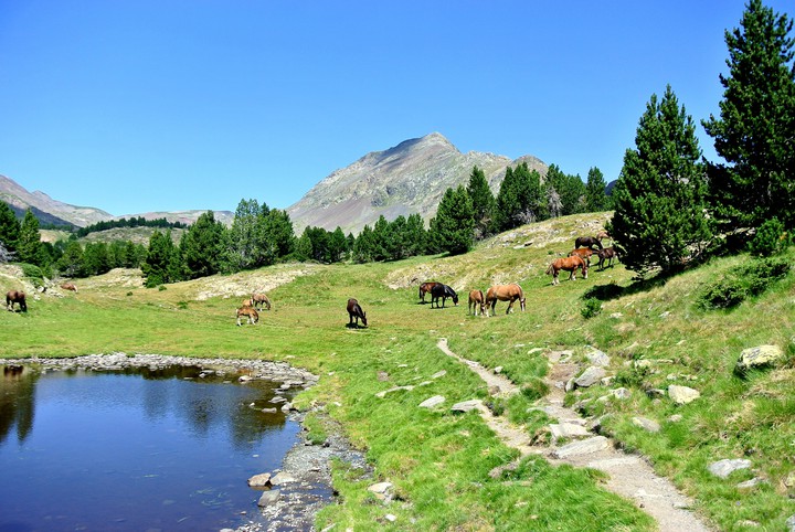 Grand Péric