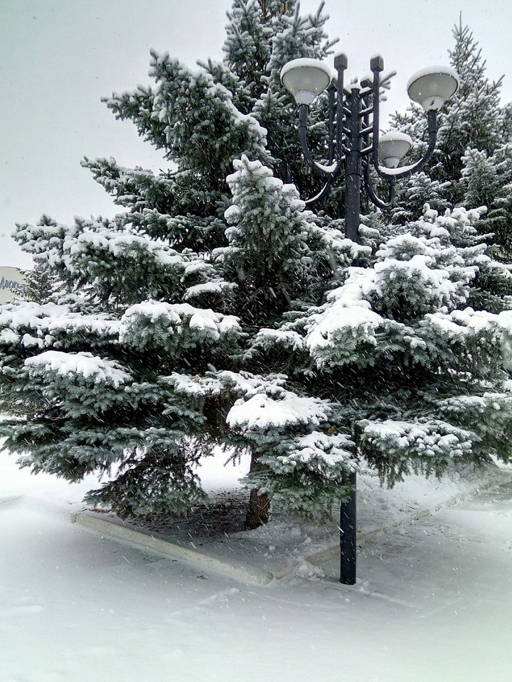 Winter