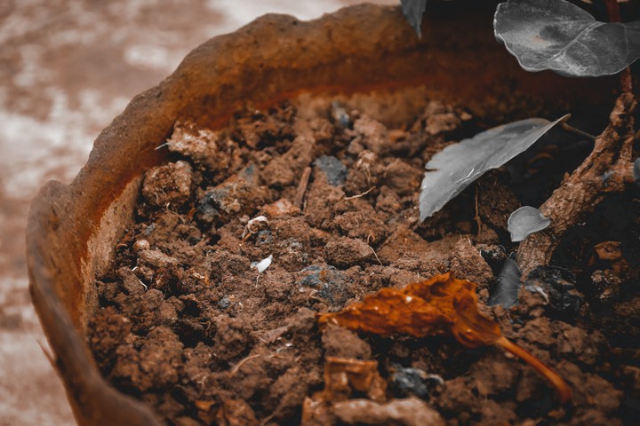 #Soil