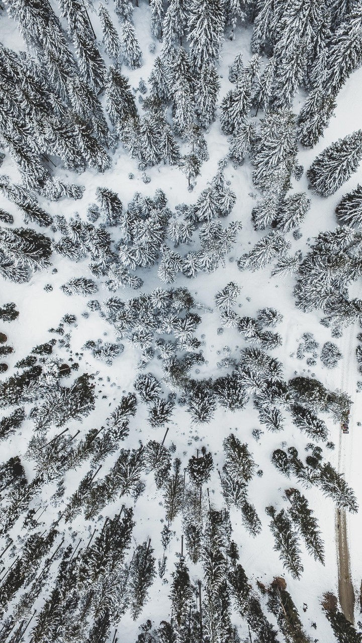 Snowy Region