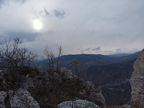 Rodopi
