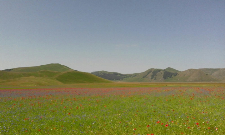 Castelluccio di Norcia