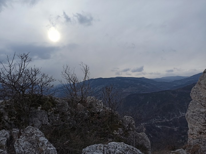 Rodopi