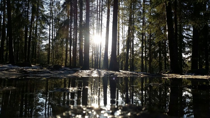 water