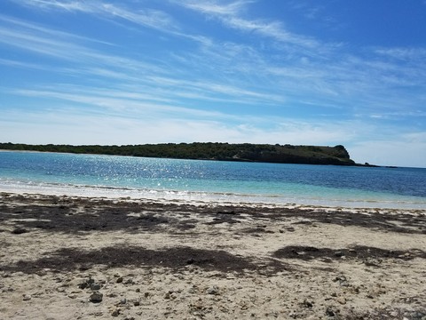 @ the beach