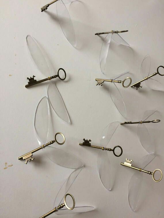 fly