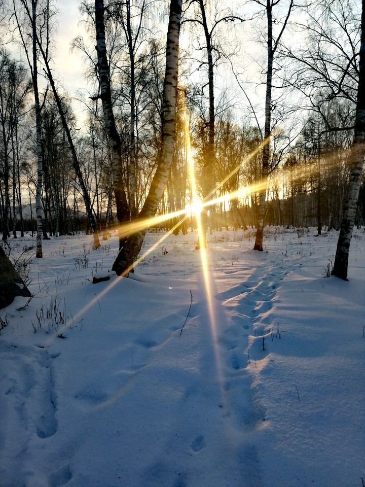 Зимнее солнце