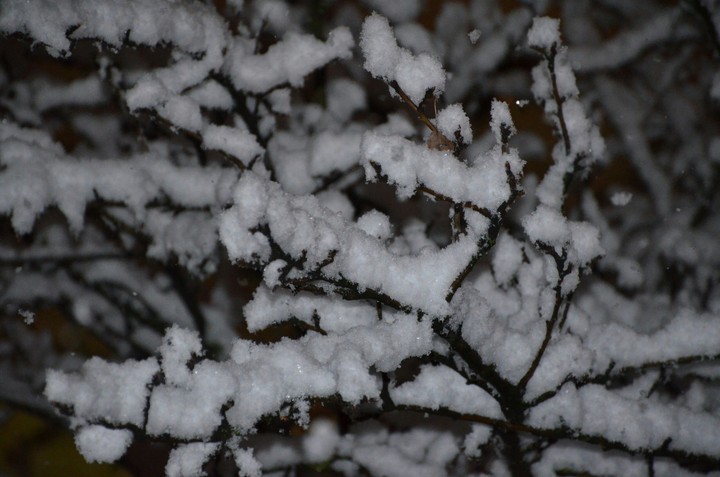 snow