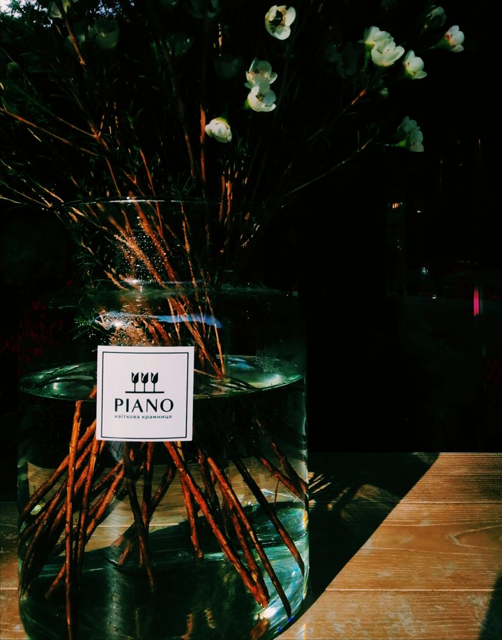 Plant in vase.