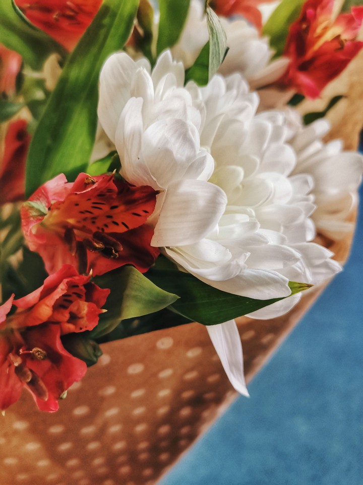 flowers