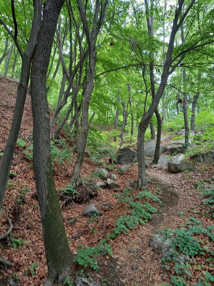 고향산천