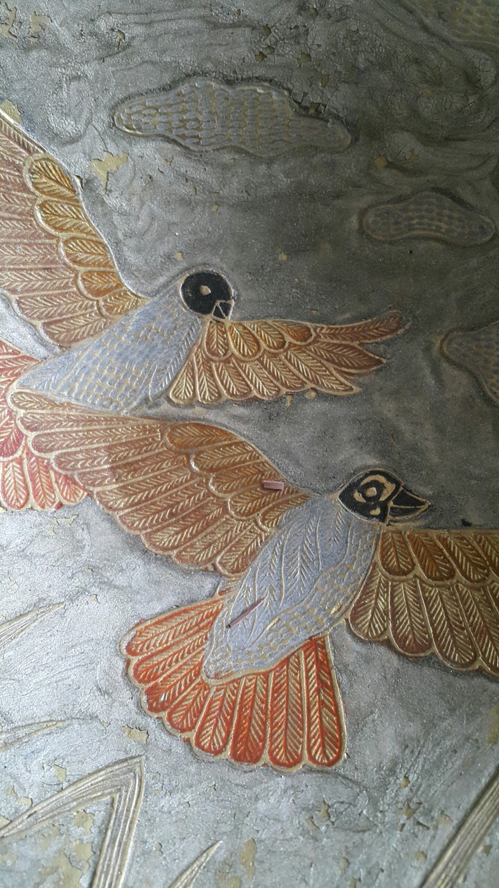 birds