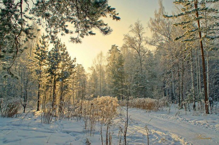 nature