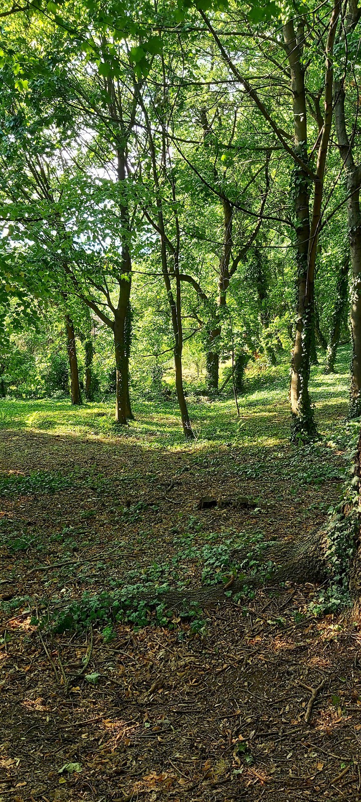 Balatonboglár