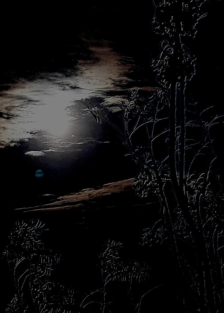 Galaxian Dark Mind
