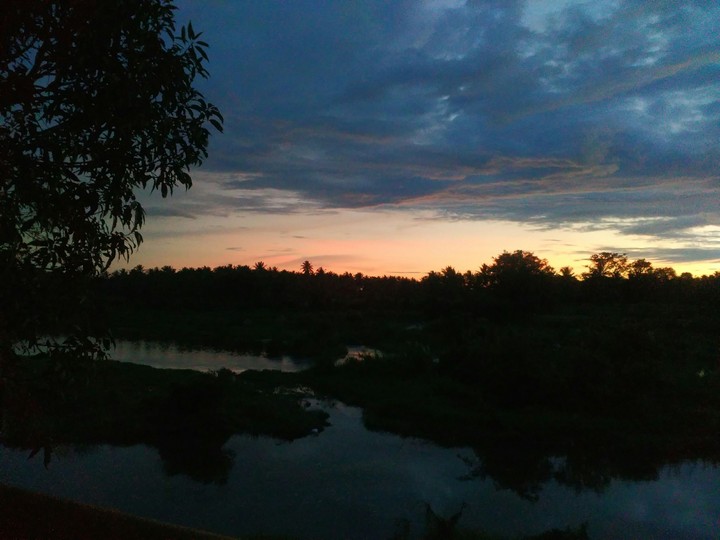 Nature