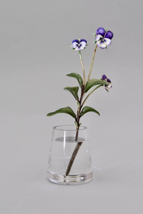ταπετσαρίες borages, violaceae