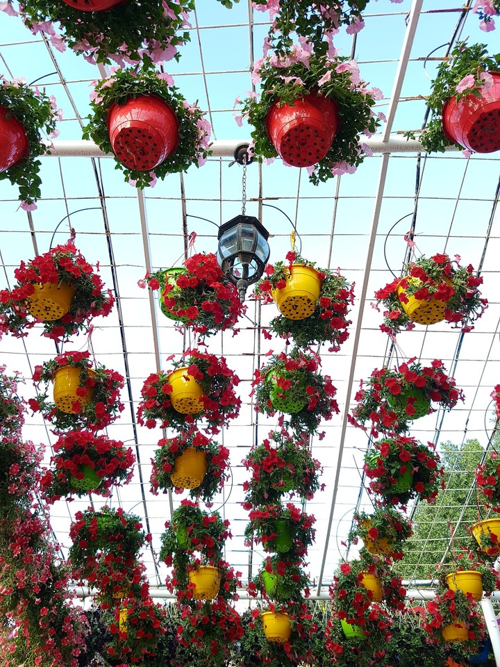 Roof of Flowers