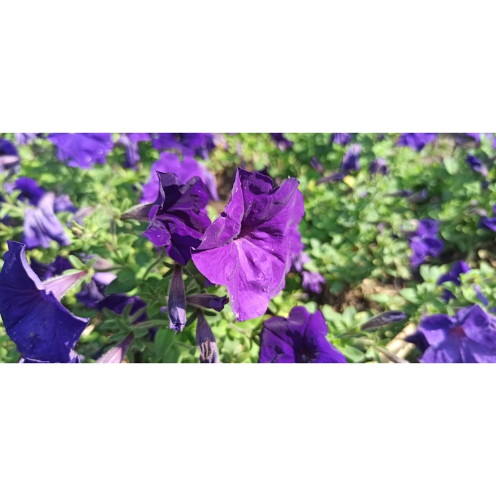 #Україна #літо #summer  2021