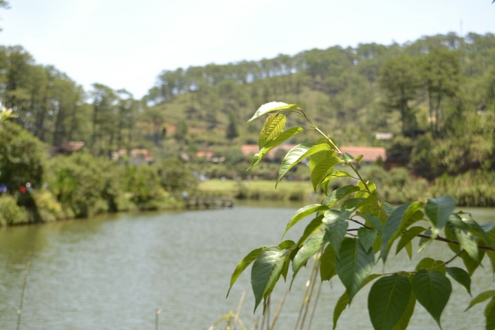 Lang Cù Lần