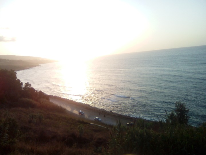 coolo Algérie Cochet Soleil