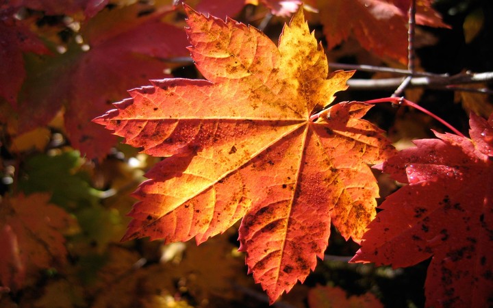 Hello October