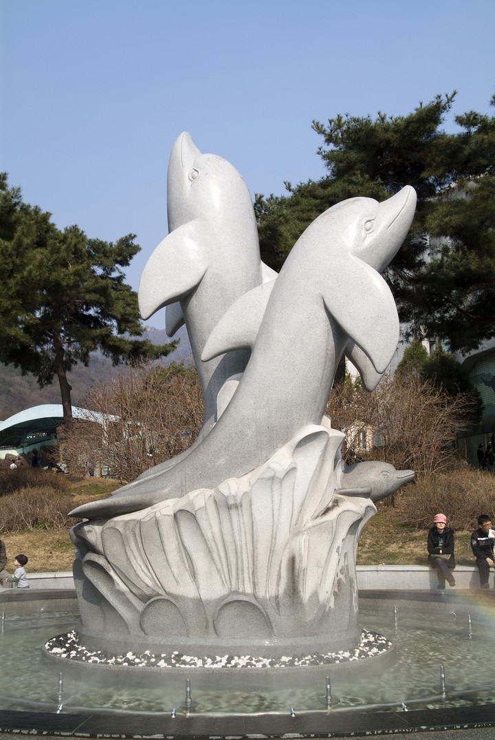 Dolphin