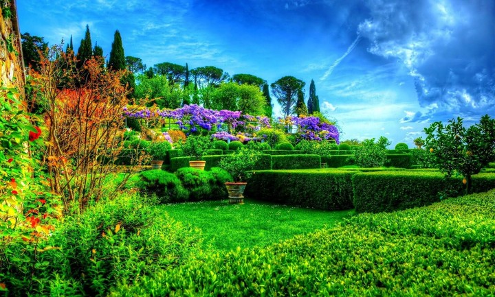 garden