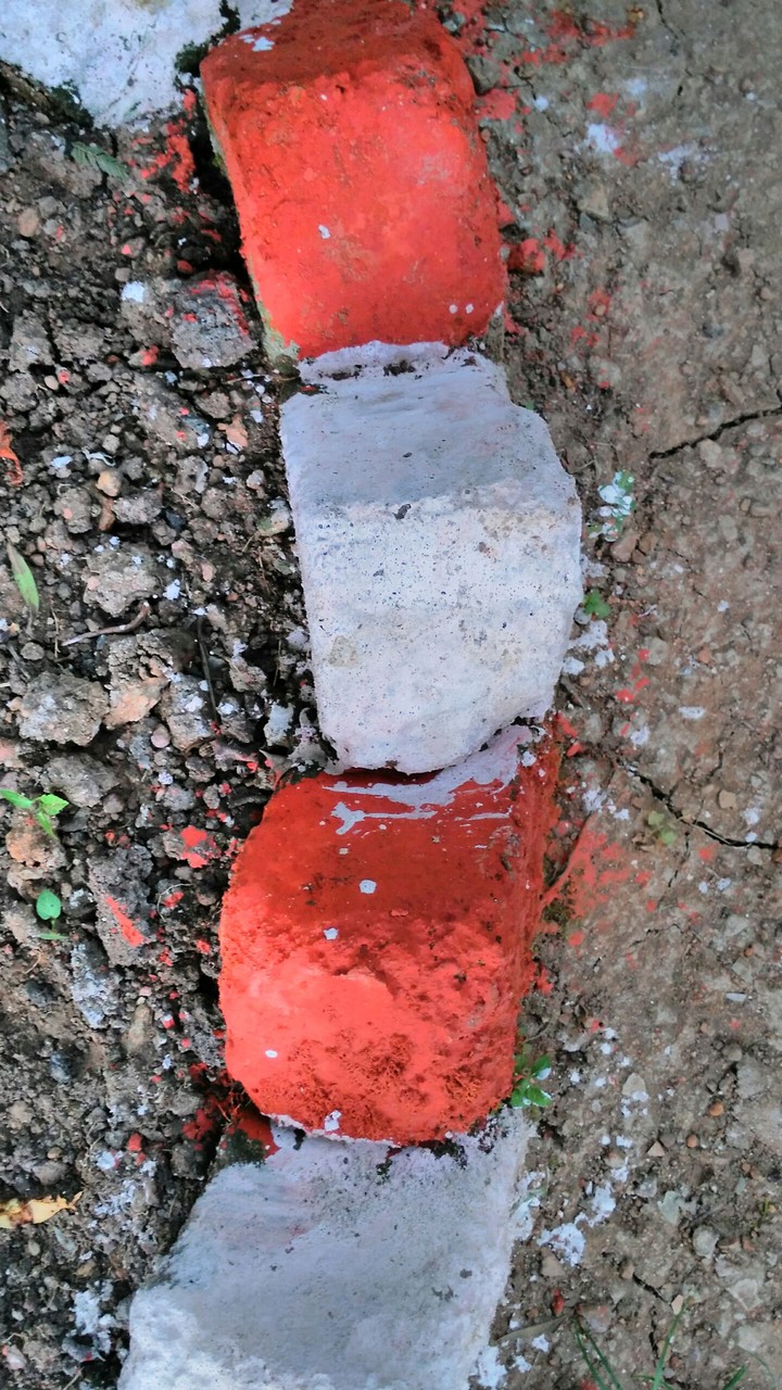 bricks