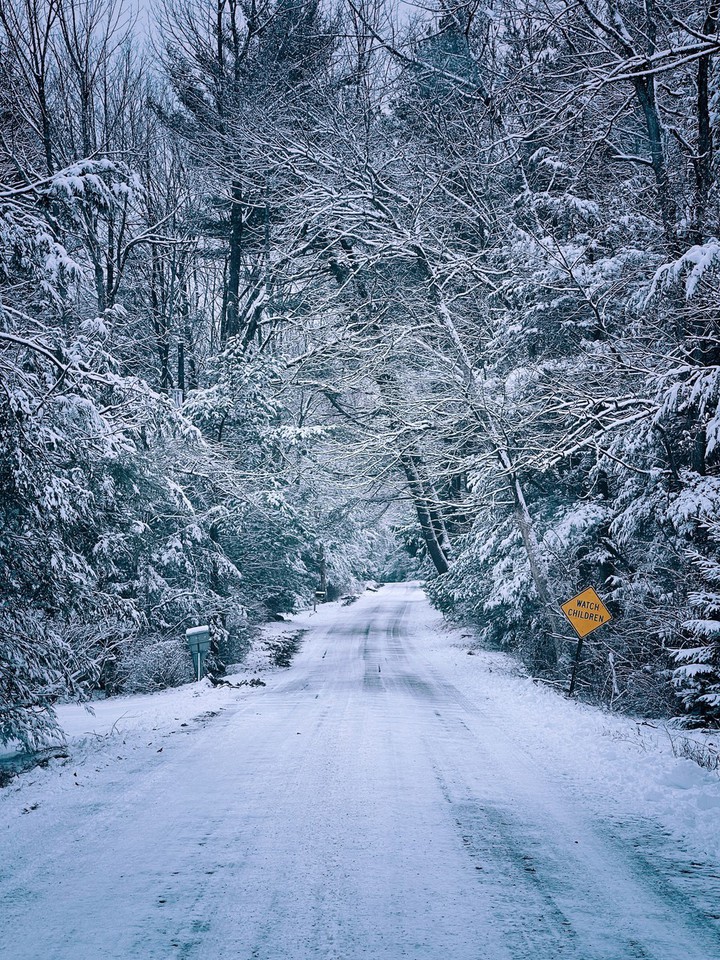 winter