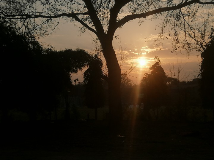 sunset
