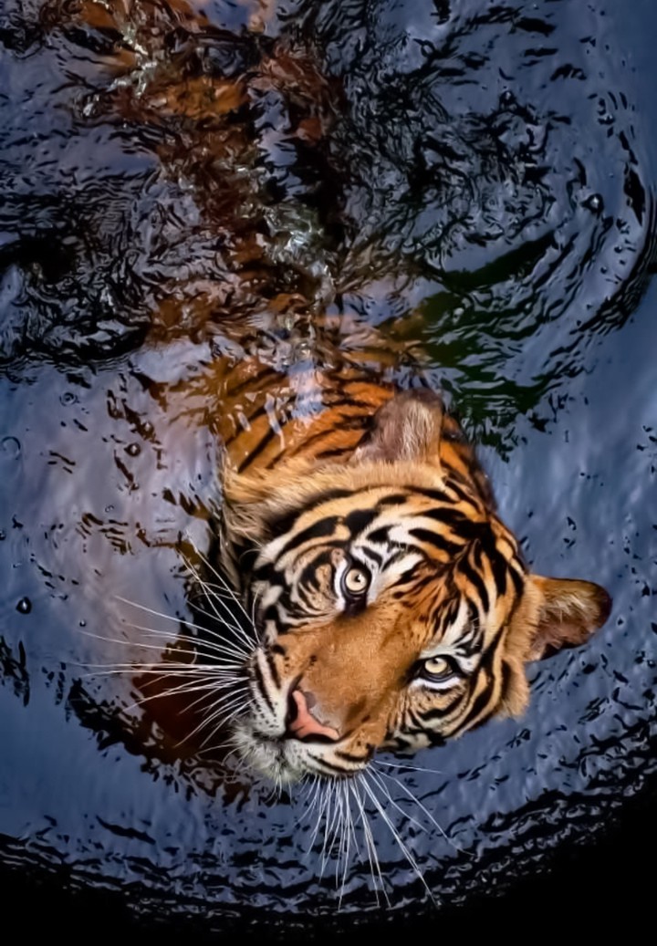 A Great Day for A Soak