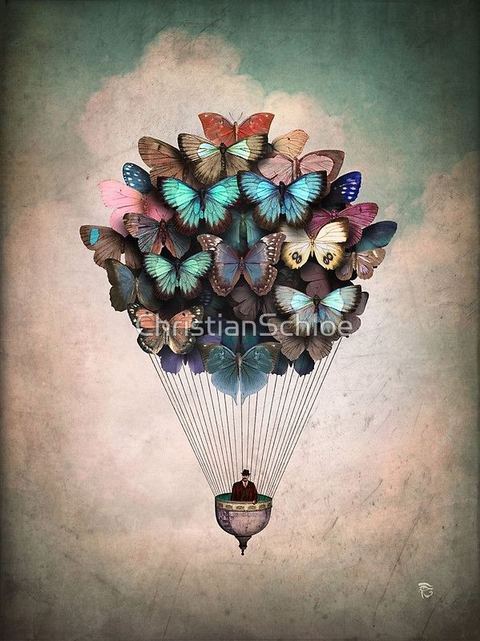 fly...