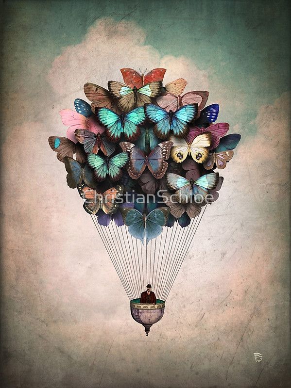 fly...